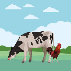 cow and rooster