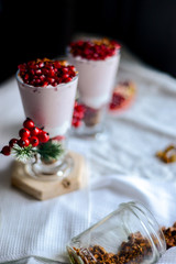 tasty breakfast  from creamy pomegranate dessert with homemade granola in hight glasses decorated with red berries on the ight background in the winter morning