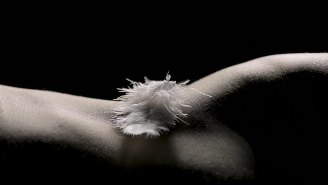 Artistic shot of a white feather falling on a female bodyscape of hips and waist curves
