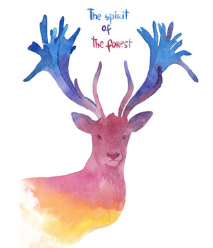 watercolor illustration of a deer