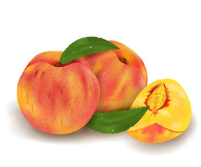 Realistic Ripe peaches whole and slice, green leaves with drops. Juicy fruit 3d illustration high detail isolated on white background. Vector