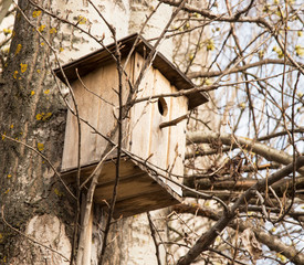 birdhouse, bird feeder, help from people during winter and hunger
