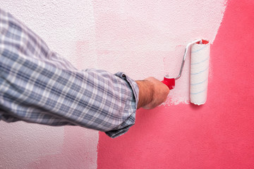 Caucasian house painter worker, painting the pink wall with white paint using the roller. Construction industry. Work safety.