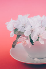 White spring apple tree blooming flowers in a cup