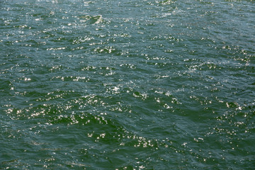 Wasser der Ostsee