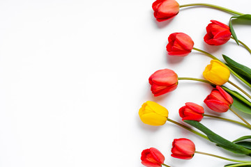 Beautiful blossom tulips on a light background. Tulip concept. Flower and spring poster....