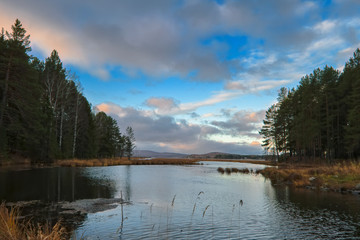 Autumn forest with country road at sunset. Colorful landscape with trees, rural road, sun in fall.
