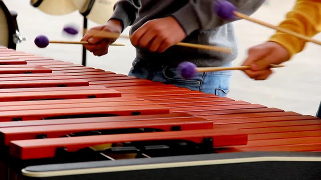 Two kids playing xylophone with purple ball mallets. Children performing at concert with percussion musical instrument. Arts, song, melody concepts