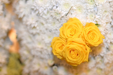 Obraz premium bouquet of yellow roses