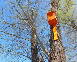 House of birds in the tree in the park