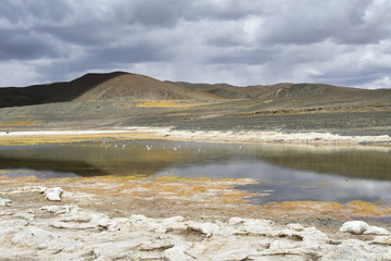 The store of the saline triangular lake in the South-Western coast of the lake Rakshasa Tal, Tibet