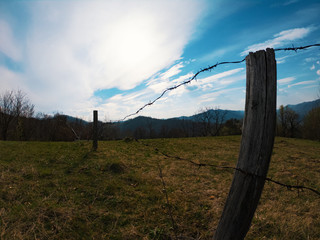 Fototapeta premium in the French countryside, in the rising sun of a morning