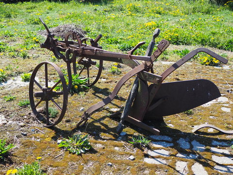 Antique Horse Drawn Plow