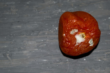 DECAYING TOMATO ON RUSTIC WOOD