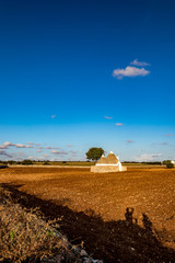 Landscape with typical amazing architecture of truli in the brown soil land in Puglia region, near the town of Alberobello, Southern Italy. Late afternoon lighted by golden Sun rays, warm summer day