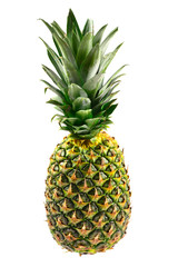 Fototapeta premium Pineapple isolated on white.