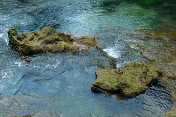 A charming transparent river in the mangrove forest.