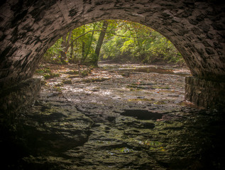 Under the small stone bridge by the cascades of Yellow Springs Creek in Glen Helen Nature Preserve by Yellow Springs, Ohio