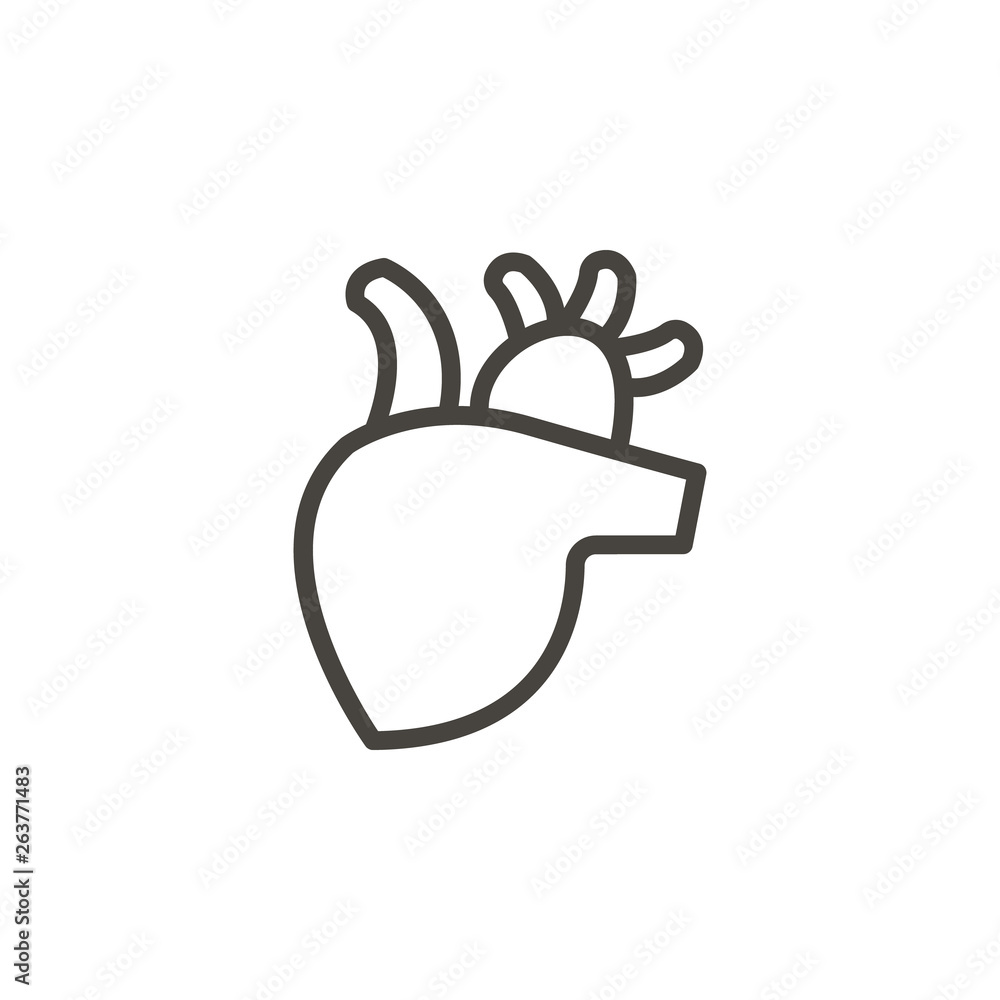Poster anatomy, hearth vector icon. element of medicine for mobile concept and web apps illustration. thin 