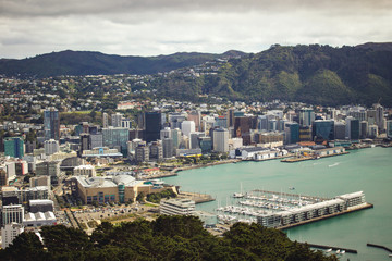 Wellington in New Zealand, city view