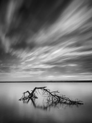 monochrome photo of tree's branch in water with  long exposure sky in retro style