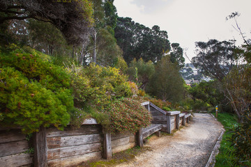 Botanical garden in Wellington, New Zealand