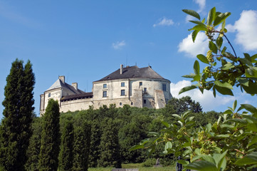 Fototapeta na wymiar View to the old castle in sunny day