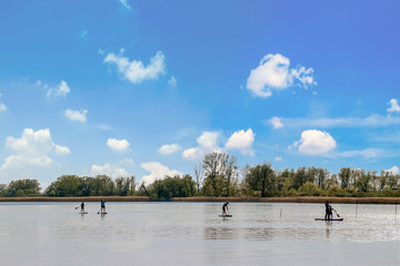 Surfer
