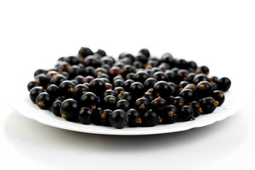 Black currant isolated on white