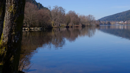 Fototapeta premium Lac de Gerardmer - Abords