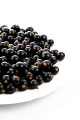 Black currant isolated on white