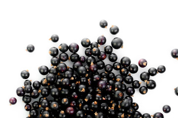 Black currant isolated on white