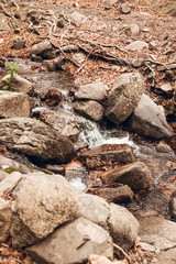 River in Autumn forest in Santa Fe del Montseny, Catalonia, Spain