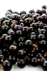 Black currant isolated on white