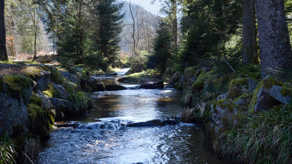 Ruisseau près du Lac de Gerardmer