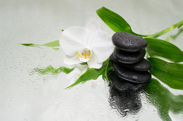 spa Background - orchids black stones and bamboo on water