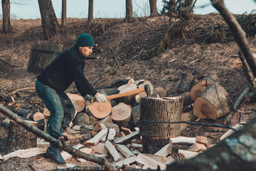 A chilly man harvests wood for cold winter cutting a thick solid ash tree
