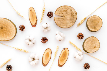 wooden saw cut and pine cone pattern on white background to view