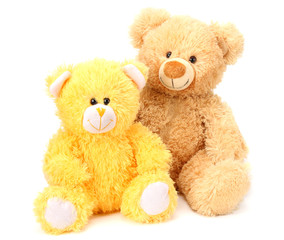 Two toy teddy bears isolated on white background