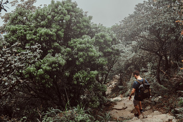 Man with backpack is walking by the stone  path in the middle of lush green mountain forest