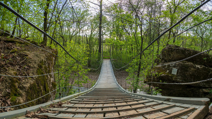 Suspension bridge at Tanyard Creek Nature Trail