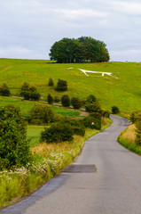 Hackpen White Horse, Broad Hinton, Wiltshire, England, cut by Henry Eatwell, to commemorate the coronation of Queen Victoria in 1838.