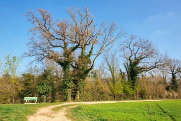 Beautiful park on a sunny spring day. Villigen, Switzerland.