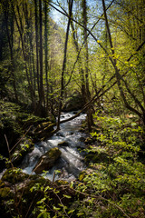Fototapeta na wymiar small mountain stream