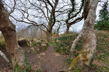 Fototapeta premium La vallée des traouiero à Ploumanach en Bretagne. France