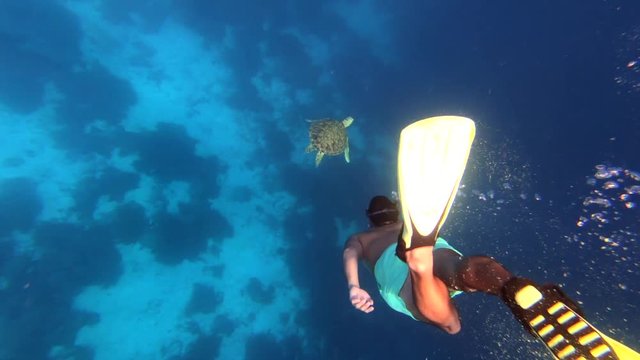 Man Dives Down With Snorkel to Touch Turtle.