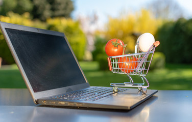 Concept of online grocery shopping. A miniature shopping cart with eggs and tomatoes is standing an...