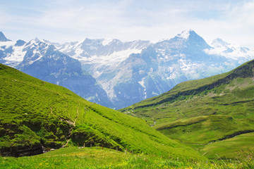 Naklejka na ściany i meble Alpine peaks of Grindelwald and Jungfrau. Landskape background of Bernese highland. Alps, tourism, journey, hiking concept.