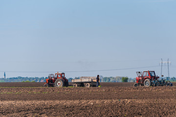 Fototapeta premium a red tractor and workers in the field of land preparation for planting