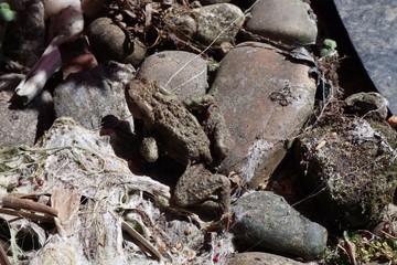Garten Frühling Ostern Garten Blumenbeet